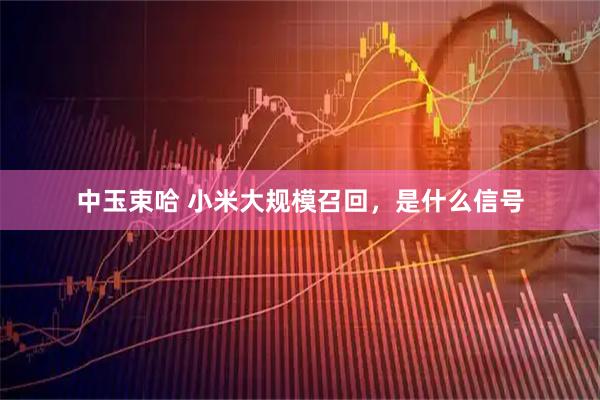 中玉束哈 小米大规模召回，是什么信号
