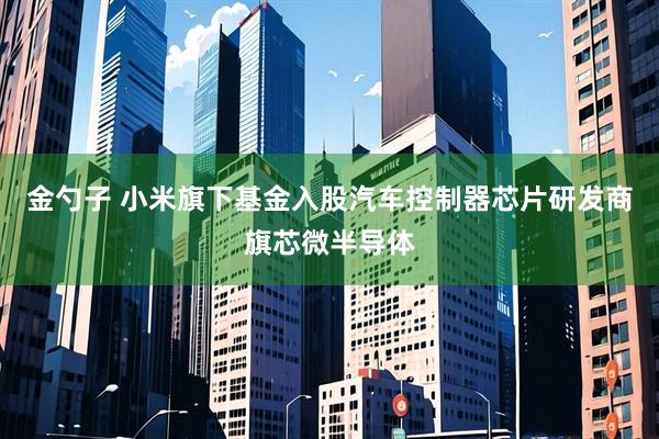 金勺子 小米旗下基金入股汽车控制器芯片研发商旗芯微半导体