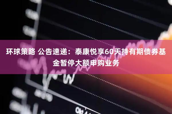 环球策路 公告速递：泰康悦享60天持有期债券基金暂停大额申购业务