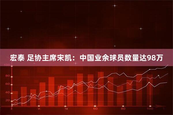 宏泰 足协主席宋凯：中国业余球员数量达98万