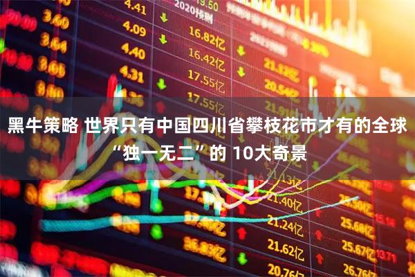 黑牛策略 世界只有中国四川省攀枝花市才有的全球“独一无二”的 10大奇景