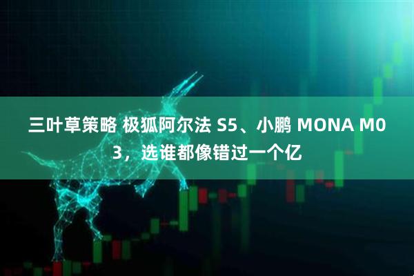 三叶草策略 极狐阿尔法 S5、小鹏 MONA M03,选谁都像错过一个亿